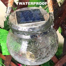 18960902051043185309