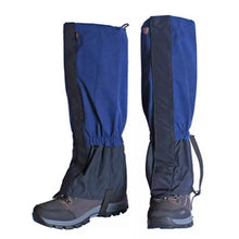 -2006915281-1487562638