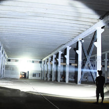 -3137432431006021855