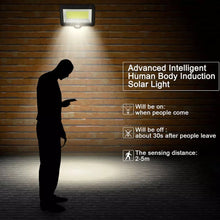 -617164244-1745312024