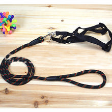 Dog Chest Back Leash Set Adjustable Chest Back Traction Rope Pet Nylon Durable Outdoor Walking Rope Chain Belt Strong Protection