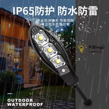 Induction Solar Street Lamp Waterproof LED Street Light