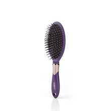 Anti Static Spa Massage Hair Brush